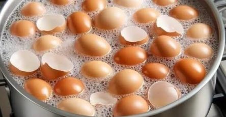 616573064 122231486138040716 6419076350672952998 n