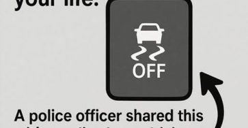 625295157 122111550801199093 2093535828297160007 n