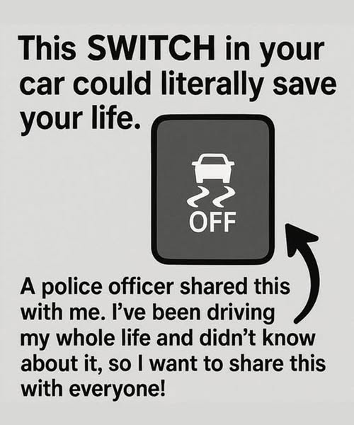 625295157 122111550801199093 2093535828297160007 n