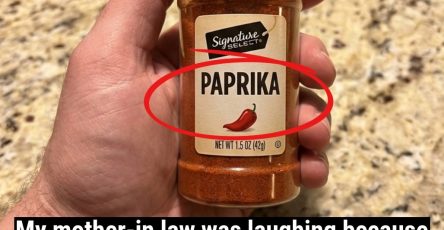 627971687 26442529845331908 4082384138955843485 n