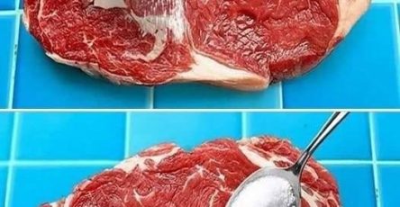 628327537 122298538904230712 1397951030793094872 n