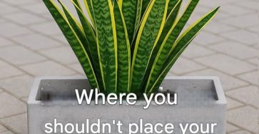 629372571 4134913690152137 8486114676889180841 n