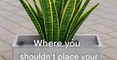 629372571 4134913690152137 8486114676889180841 n