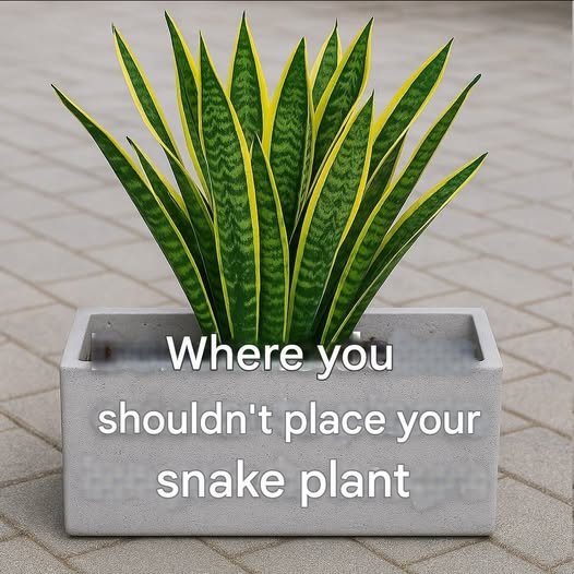 629372571 4134913690152137 8486114676889180841 n