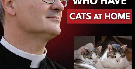 629836872 1463944448457583 8190866203662249167 n