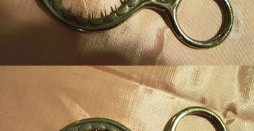 631848318 122207825498567604 3601809649848478622 n