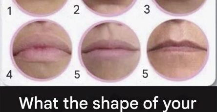 636718978 122208774722567604 4156860576288362954 n