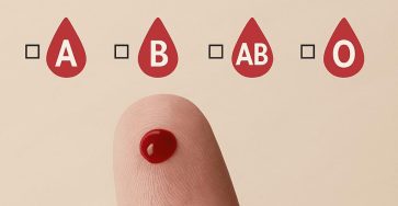 637635121 1857568281628047 3492432344735418532 n