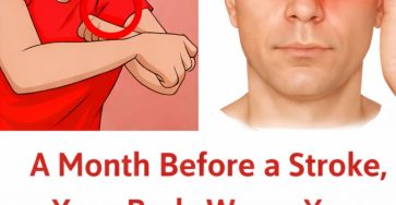 644752647 122156842970410366 1289759394736403192 n