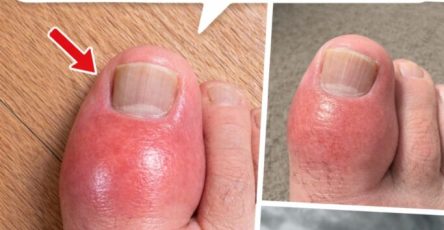 645474852 924933717171621 8240186515152479223 n 683x1024