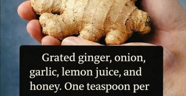 646458107 1226655299632425 663346958294560760 n