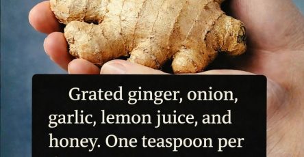 646458107 1226655299632425 663346958294560760 n