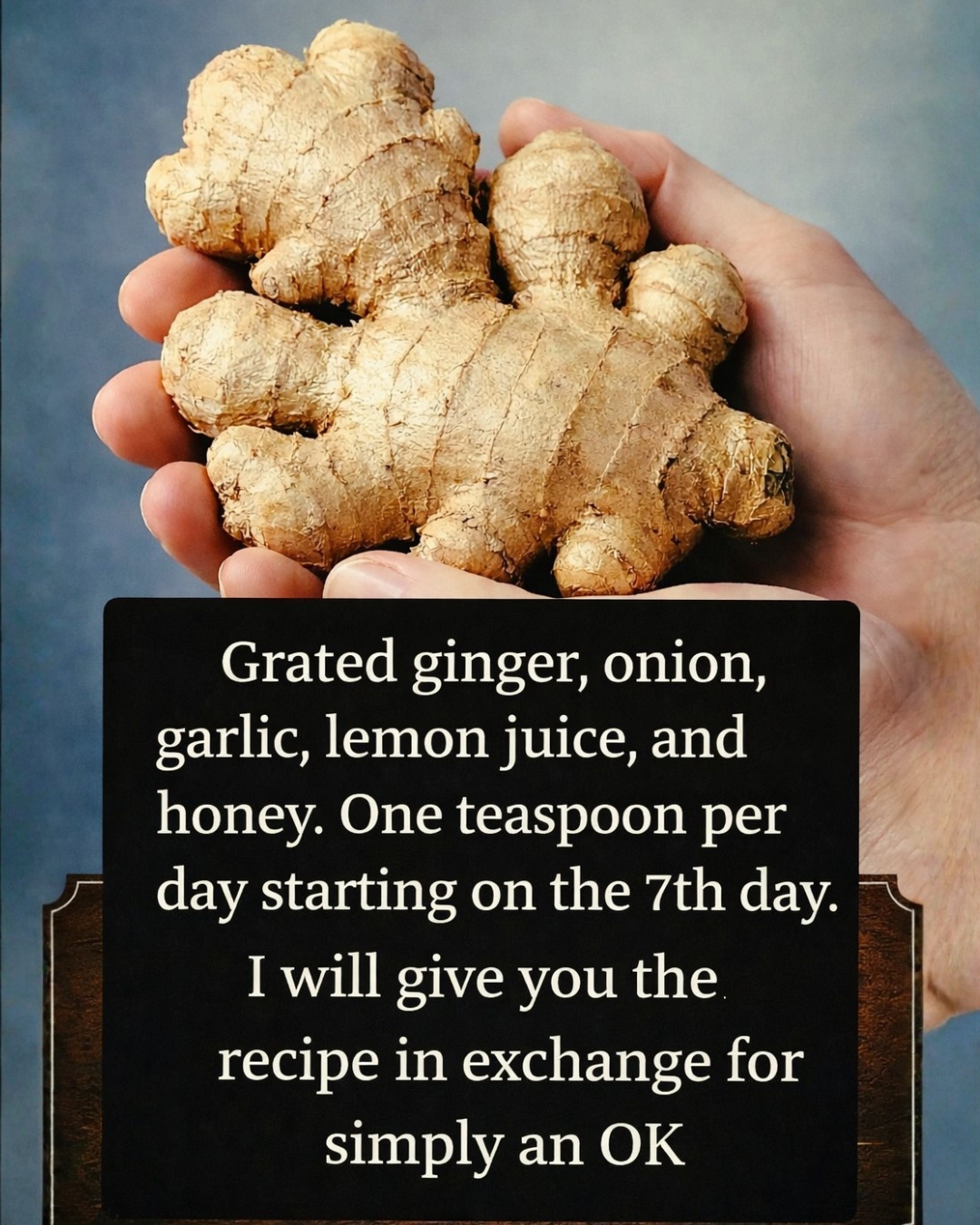 646458107 1226655299632425 663346958294560760 n