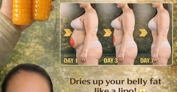 646509033 957731336938945 6982812038869181146 n