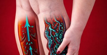 646876118 921370854212403 1796323412401565783 n