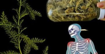 648268343 122145137984987349 6151489274536133230 n