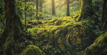 648470974 934959875586716 168133619055744180 n