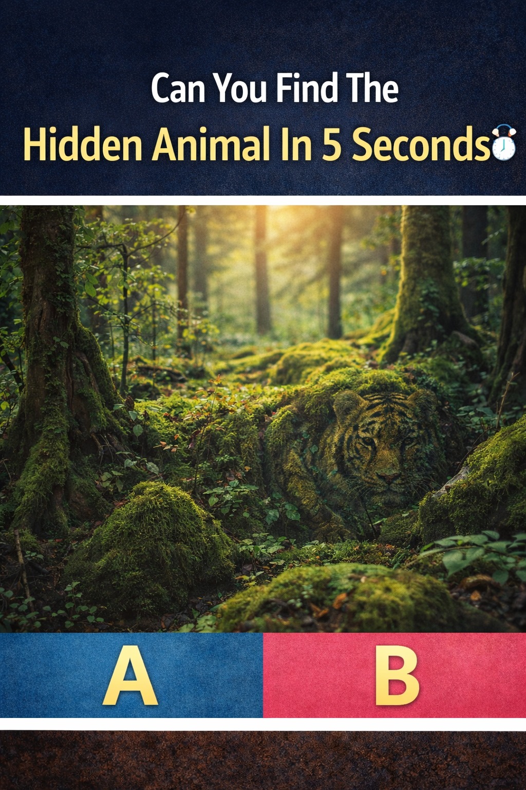 648470974 934959875586716 168133619055744180 n