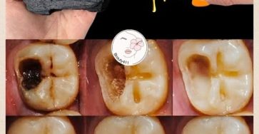 648502202 1436731235134159 8046021636298723720 n