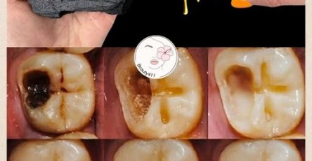 648502202 1436731235134159 8046021636298723720 n