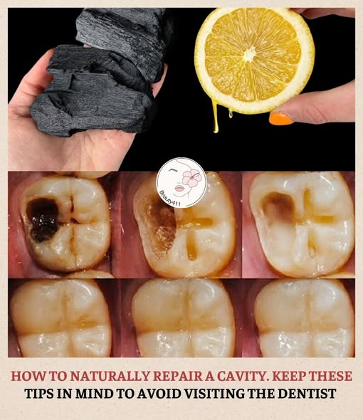 648502202 1436731235134159 8046021636298723720 n