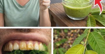 649342651 122289169364238929 2394228377197090341 n