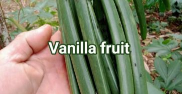 650069794 959530413239898 782177219159294581 n