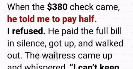 650924801 788413477672568 826877105049814528 n