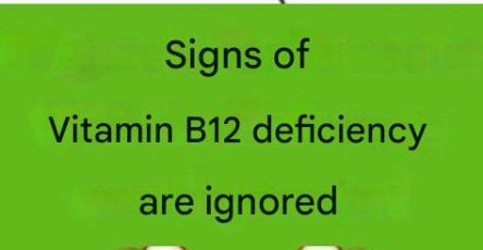 66dd0ff9 3e5a 43bb 852a ca574e25d320