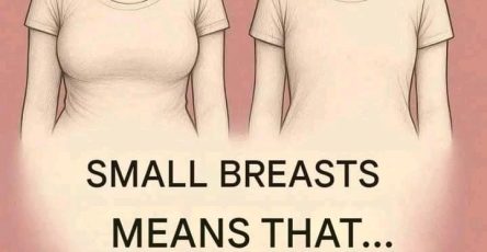 6b618619 e3e9 4757 8476 ce1767b24f79