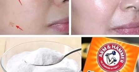 7028b2b7 e764 46e5 a3d7 95dce6d6e869