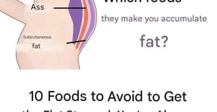 82033bb2 b80d 4dcb bad0 e03e4e49253a