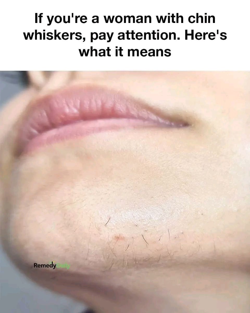 91fd4e73 8fbd 42aa 94da 6e89ca552128