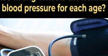 95d56807 bc47 4038 a9fc b1fc5c7d842e