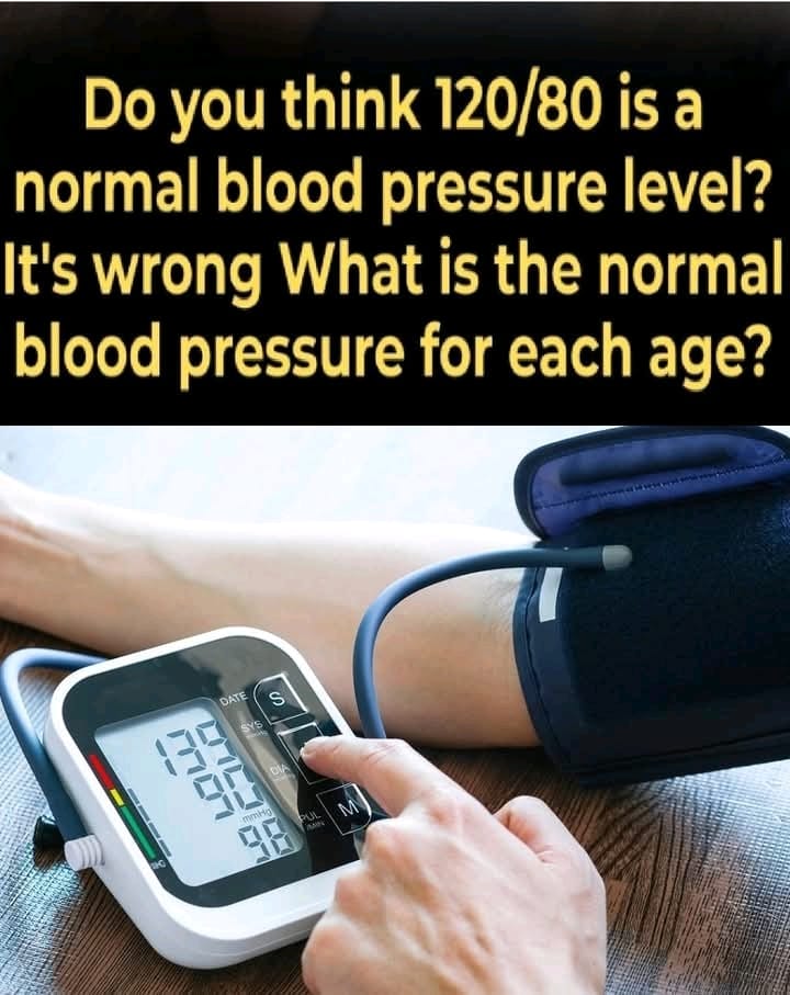 95d56807 bc47 4038 a9fc b1fc5c7d842e