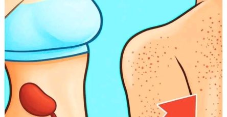 9a7a7c3a e7ed 4ad8 89cd 0dae9089eba4 (1)