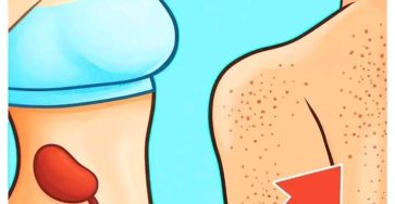 9a7a7c3a e7ed 4ad8 89cd 0dae9089eba4