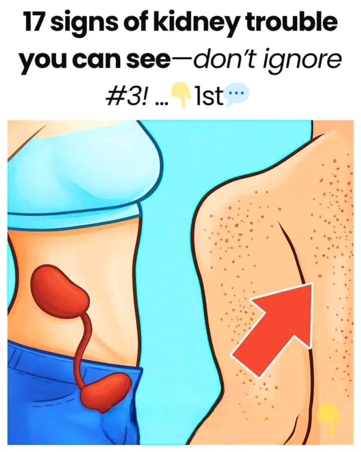 9a7a7c3a e7ed 4ad8 89cd 0dae9089eba4