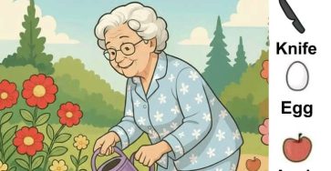 9cb61649 f7b5 4262 9f44 e8cedd5a054c