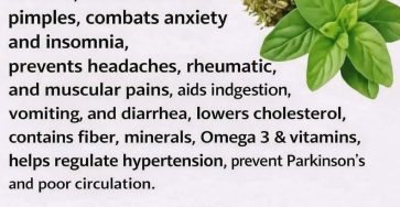 ChatGPT Image 1 mars 2026, 17 12