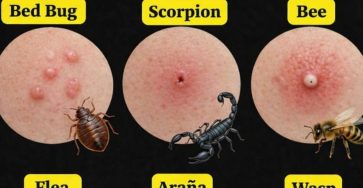 ChatGPT Image 1 mars 2026, 17 36