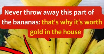 ChatGPT Image 10 mars 2026, 05 59