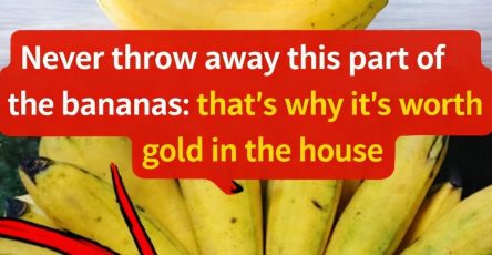 ChatGPT Image 10 mars 2026, 05 59