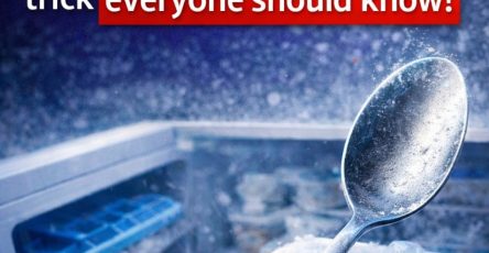 ChatGPT Image 10 mars 2026, 06 08