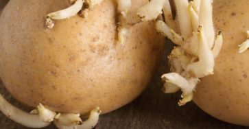 ChatGPT Image 5 mars 2026, 19 42