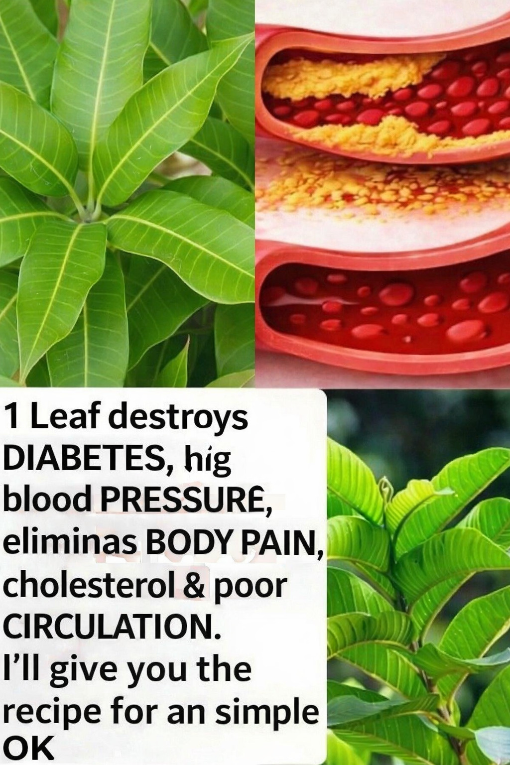 ChatGPT Image 5 mars 2026, 20 01