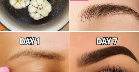 WhatsApp Image 2025 10 01 a 20.40.59 47d3c004