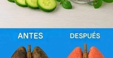 WhatsApp Image 2025 10 17 a 00.44.06 62aeda8f