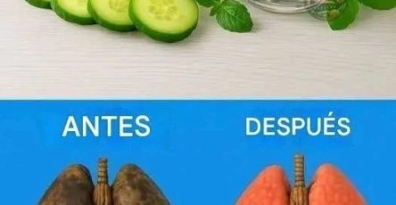 WhatsApp Image 2025 10 17 a 00.44.06 62aeda8f