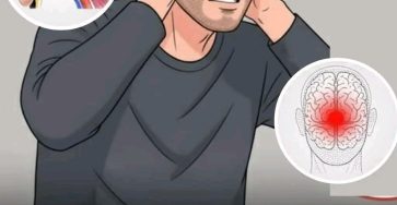 WhatsApp Image 2025 10 17 a 00.55.31 2b54cffe